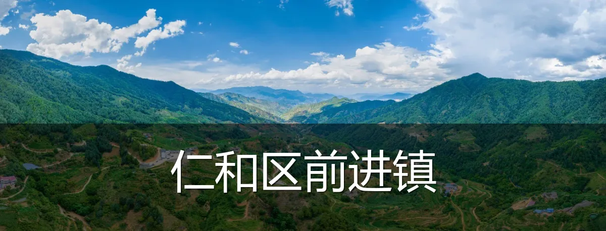 仁和区前进镇