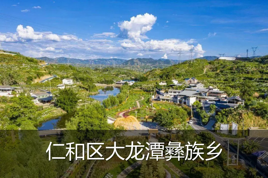 仁和区大龙潭彝族乡