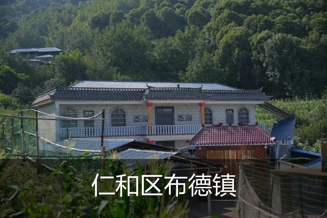 仁和区布德镇
