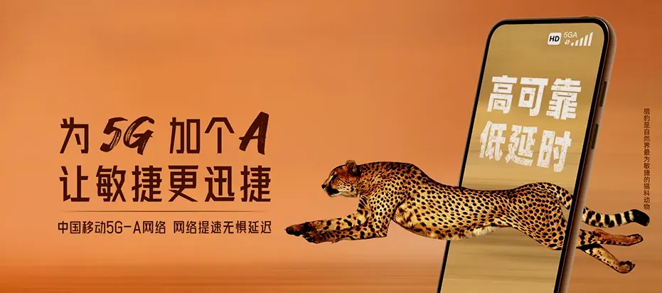仁和区仁和区大龙潭彝族乡 移动宽带
